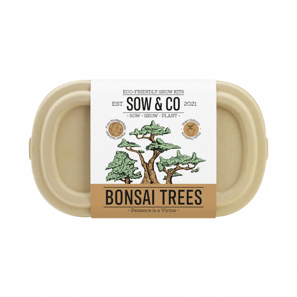 Bonsai Trees
