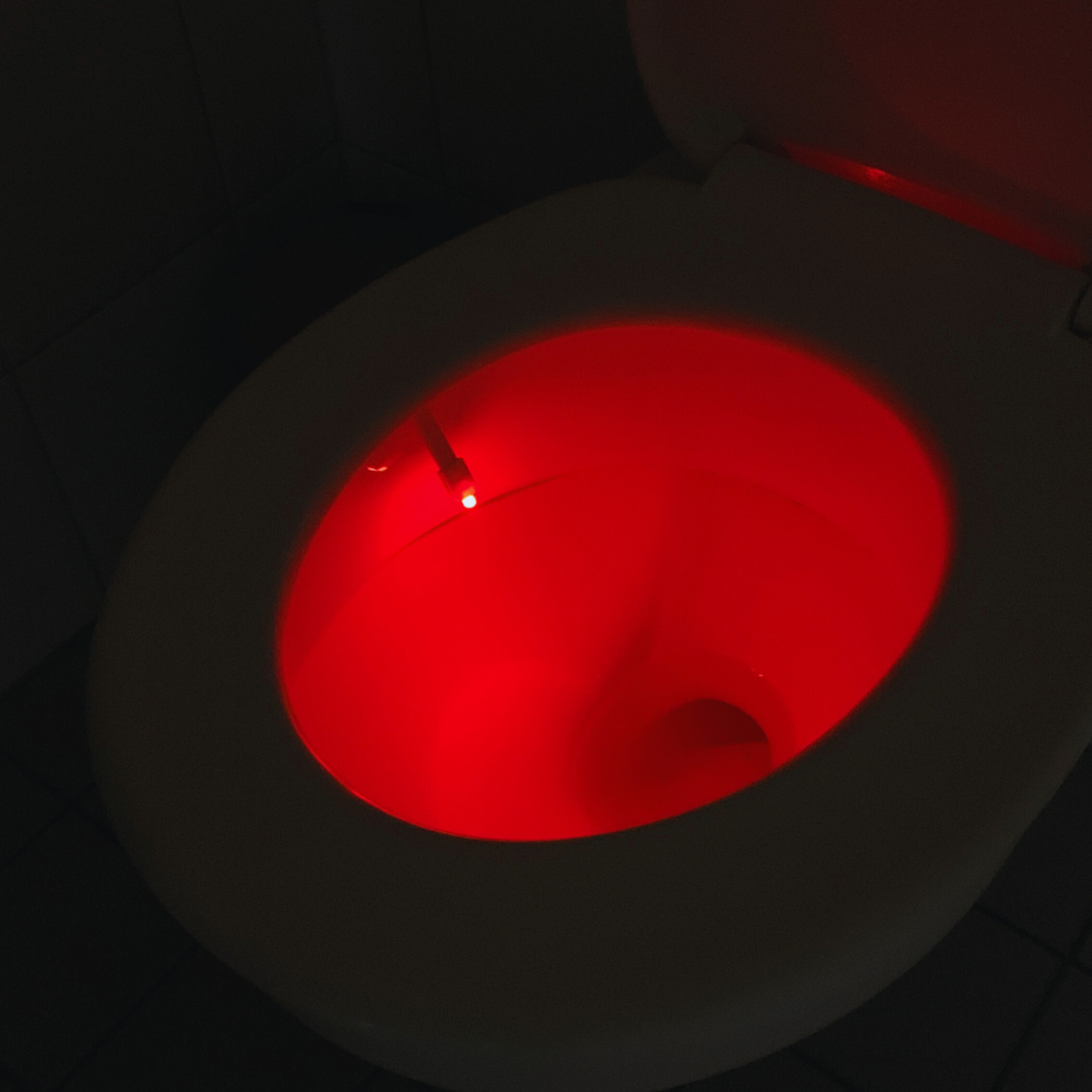Toilet Led Light
