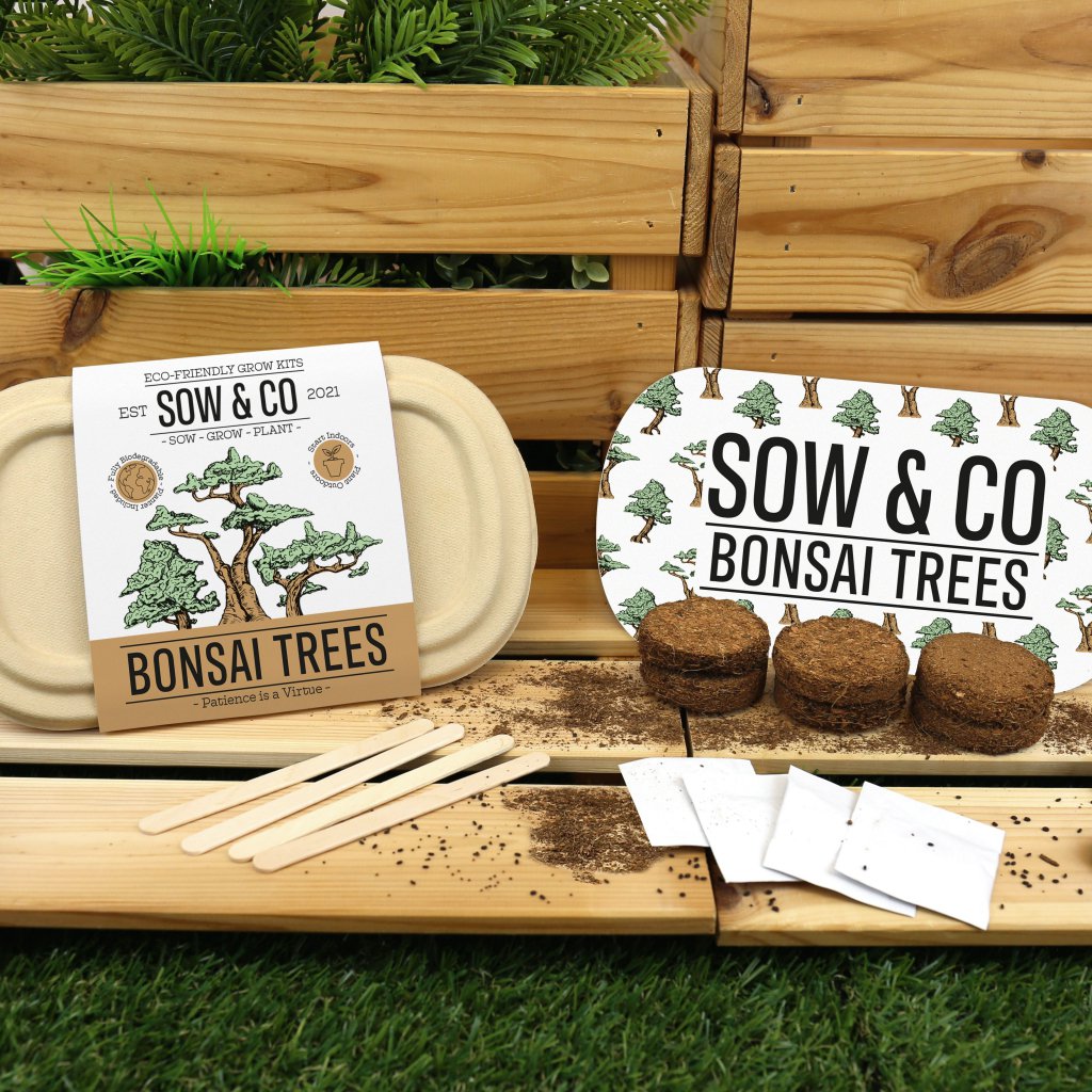 Bonsai Trees