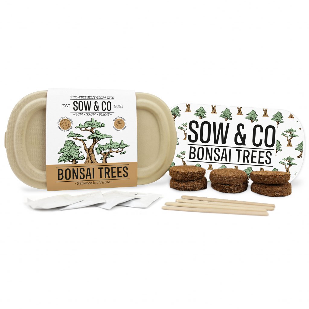 Bonsai Trees