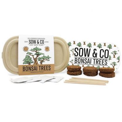 Bonsai Trees